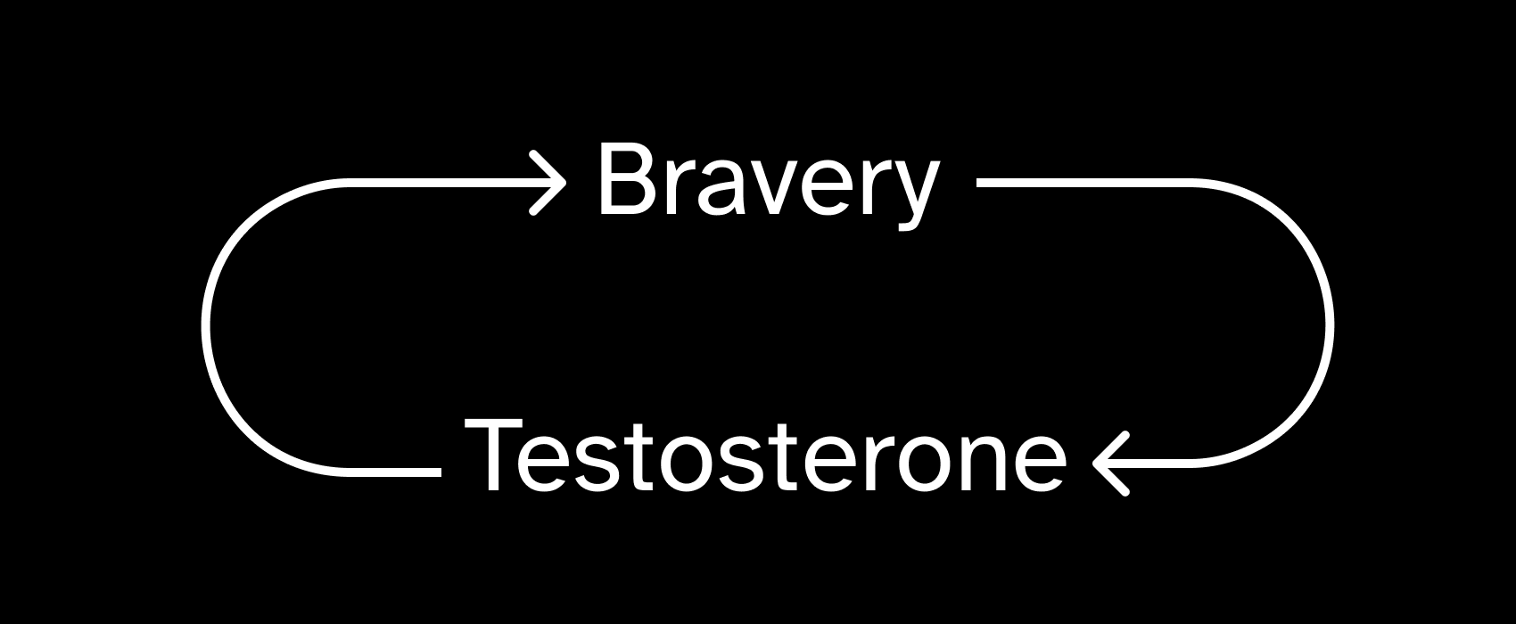 Bravery — testosterone loop